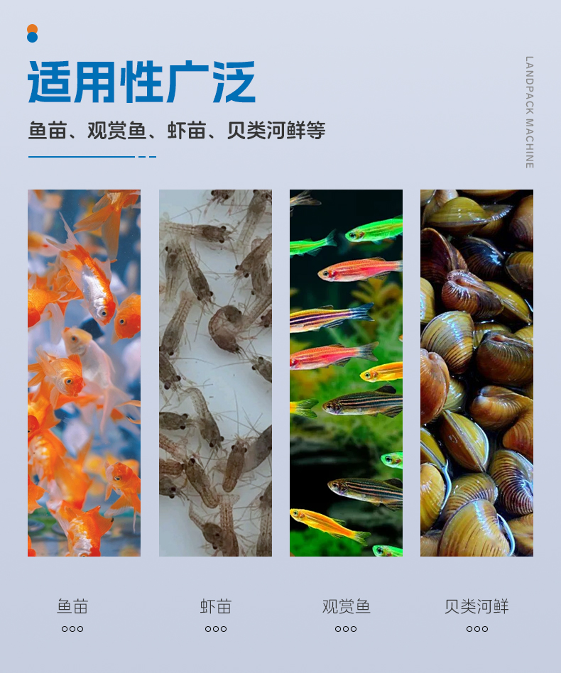 3808半自動(dòng)背封袋+齒輪泵灌液體500ML+鏈斗下料+魚(yú)+水+充氣+郭紅-詳情頁(yè)_03.jpg